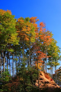 沃尔夫斯堡三连胜：3-1战胜云达不莱梅