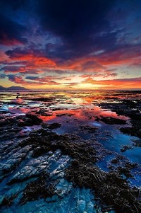 沃尔夫斯堡三连胜：3-1战胜云达不莱梅