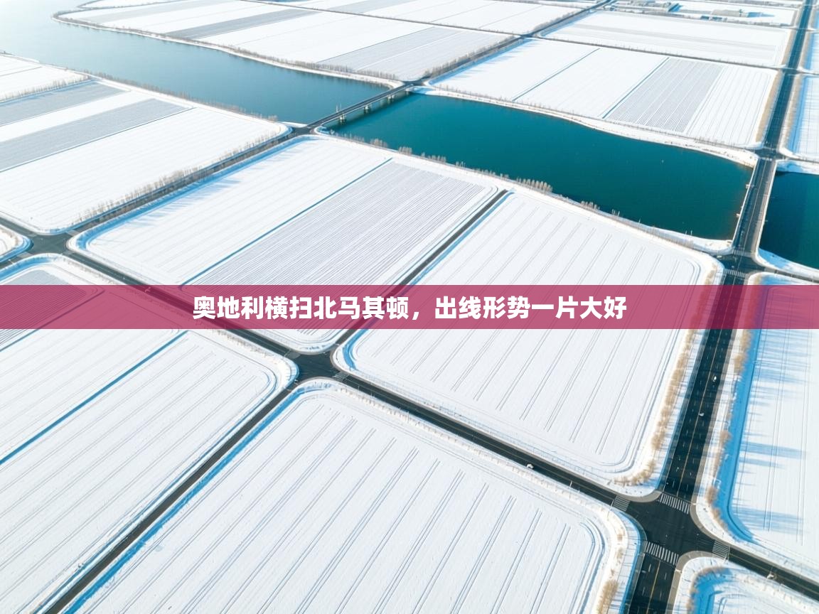 奥地利横扫北马其顿,出线形势一片大好 第2张