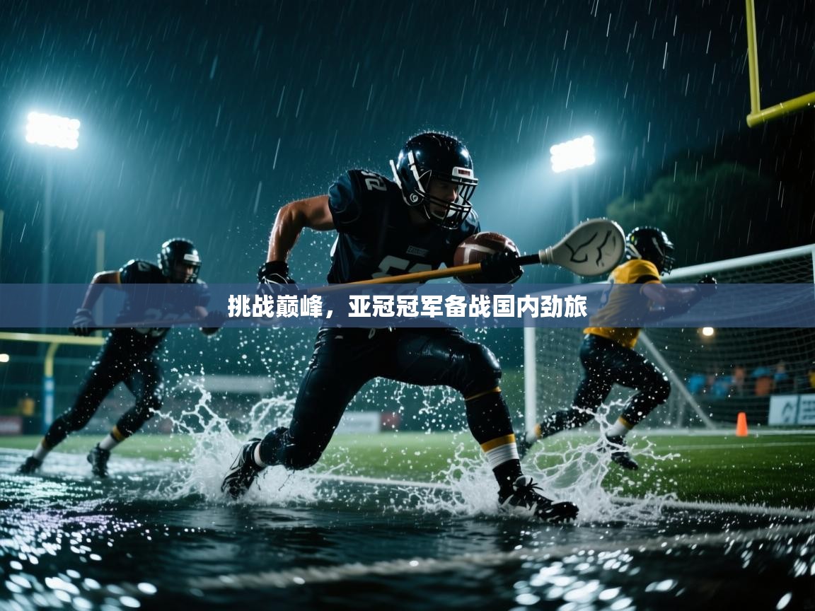 挑战巅峰,亚冠冠军备战国内劲旅 第1张