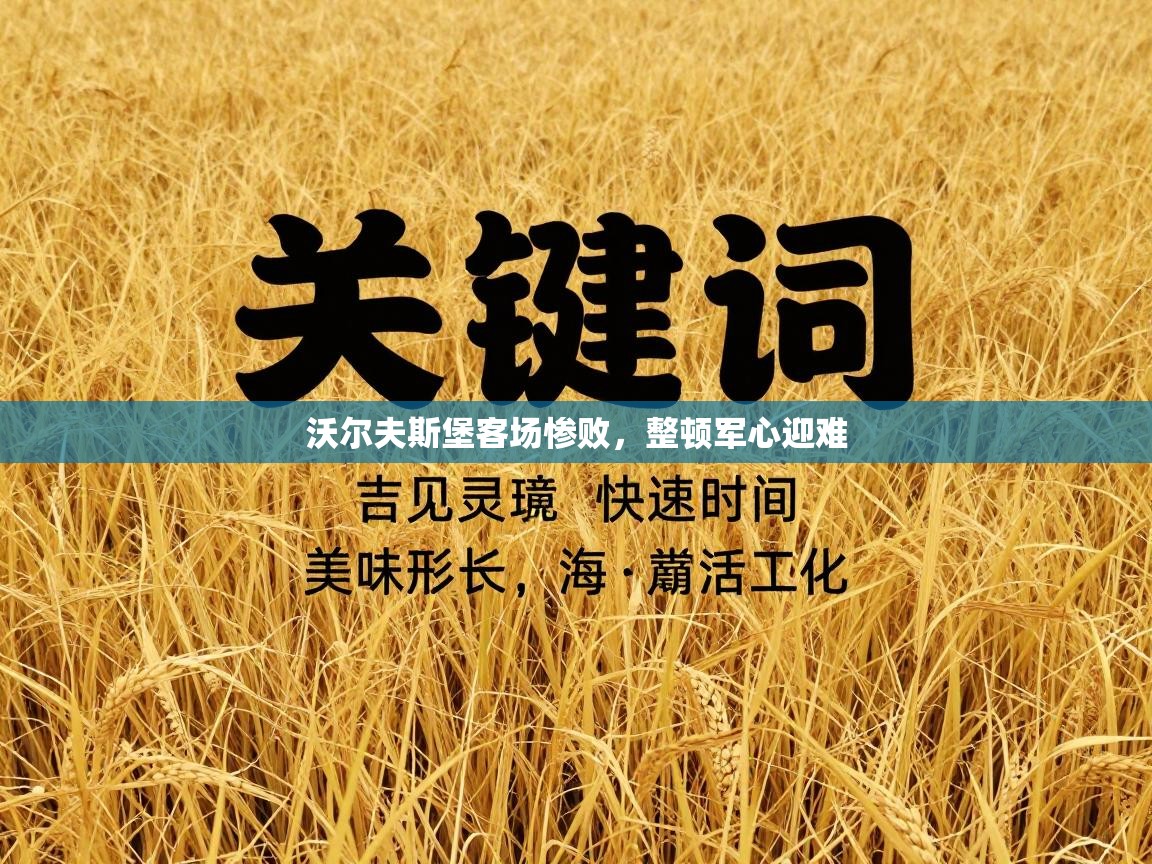 沃尔夫斯堡客场惨败，整顿军心迎难  第2张