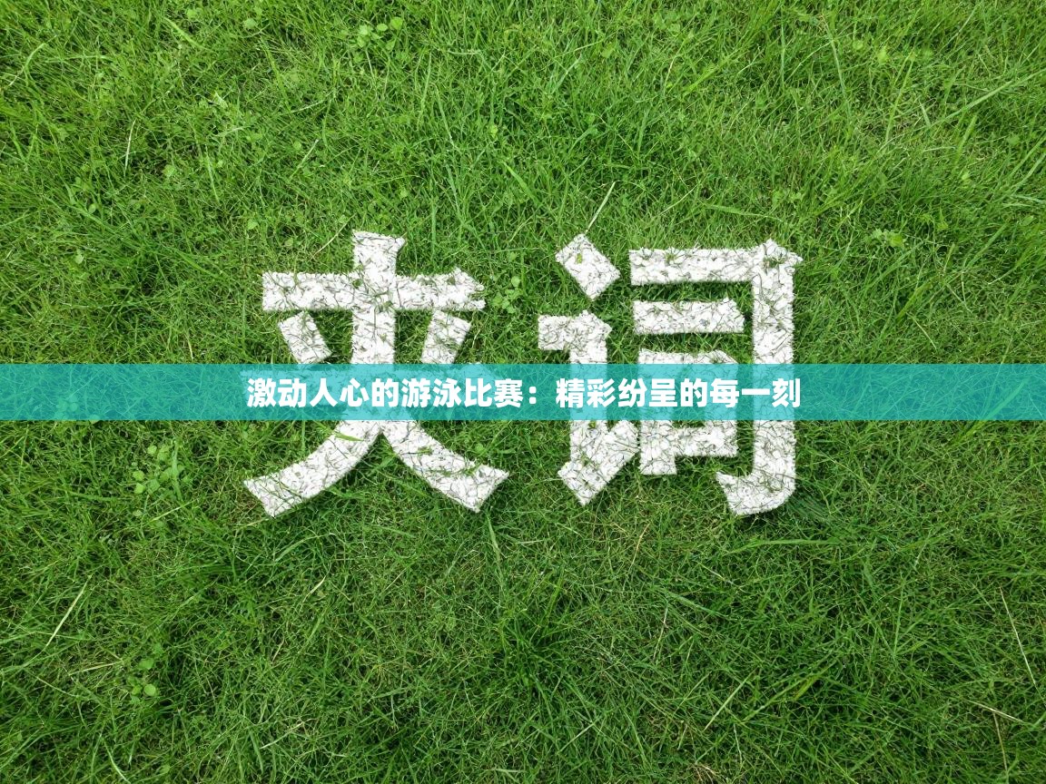 激动人心的游泳比赛:精彩纷呈的每一刻 第2张